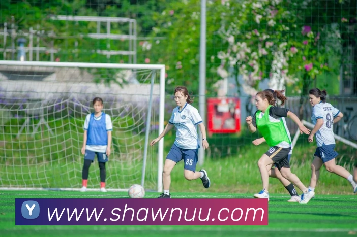 赛事专题整合